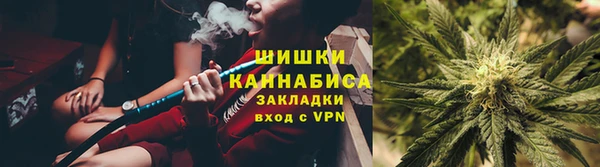 сатива Балабаново