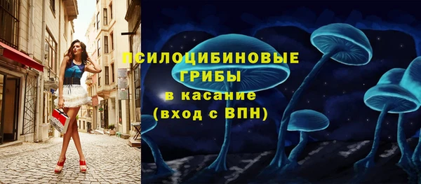сатива Балабаново