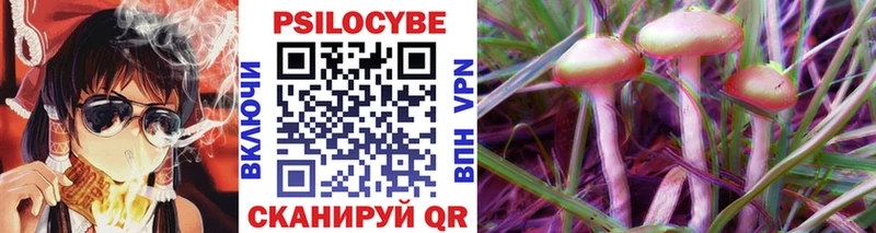 Галлюциногенные грибы Psilocybe  нарко площадка состав  Чернушка 